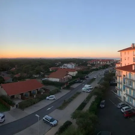 Apartment Vue De L'ocean A La Foret, La A Vos Pieds