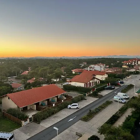 Vue De L'océan à La Forêt, La à Vos Pieds *
