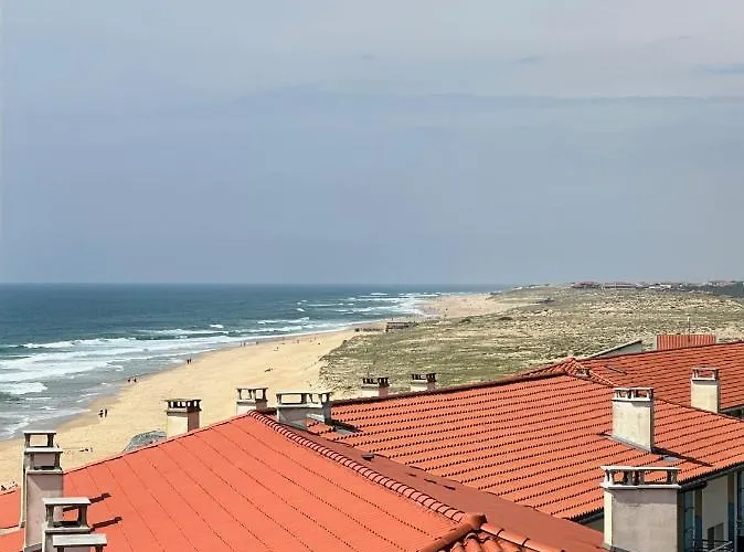 Vue De L'ocean A La Foret, La A Vos Pieds 소르-호스고르