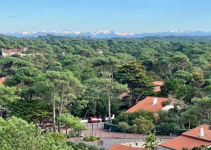 Vue De L'ocean A La Foret, La A Vos Pieds 아파트 *