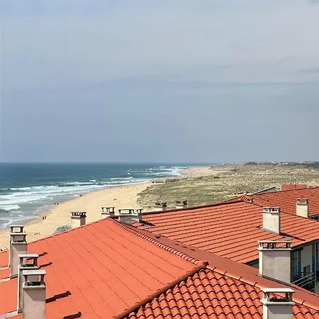 Vue De L'ocean A La Foret, La A Vos Pieds 소르-호스고르