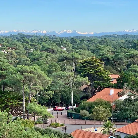 Vue De L'ocean A La Foret, La A Vos Pieds 아파트 *